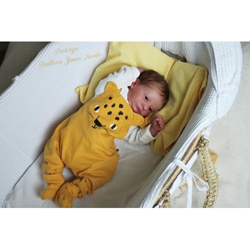 James Awake from Realborn®