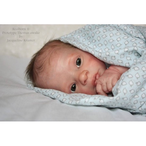 Bébé Reborn - Kit Thomas Asleep - Modèle Denise Bratt - Poupée Occasion