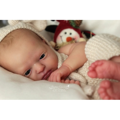 Phineas Despierto de Realborn®