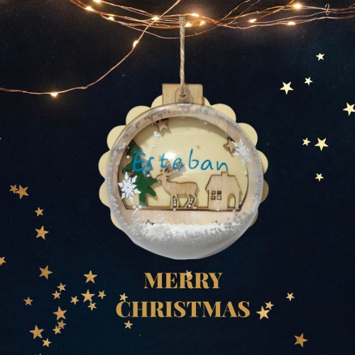 Personalized Christmas Ball