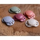Chupetes Honeybug