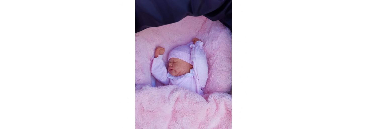 Kits silicona reborn 