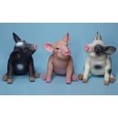 Toy Animals